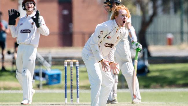 Lloyd Pope reacts during a Premier Cricket match between Kensington and Port Adelaide in 2019. Picture: Morgan Sette