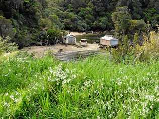 One of the many hideaway coves dotted around Stewart Island.