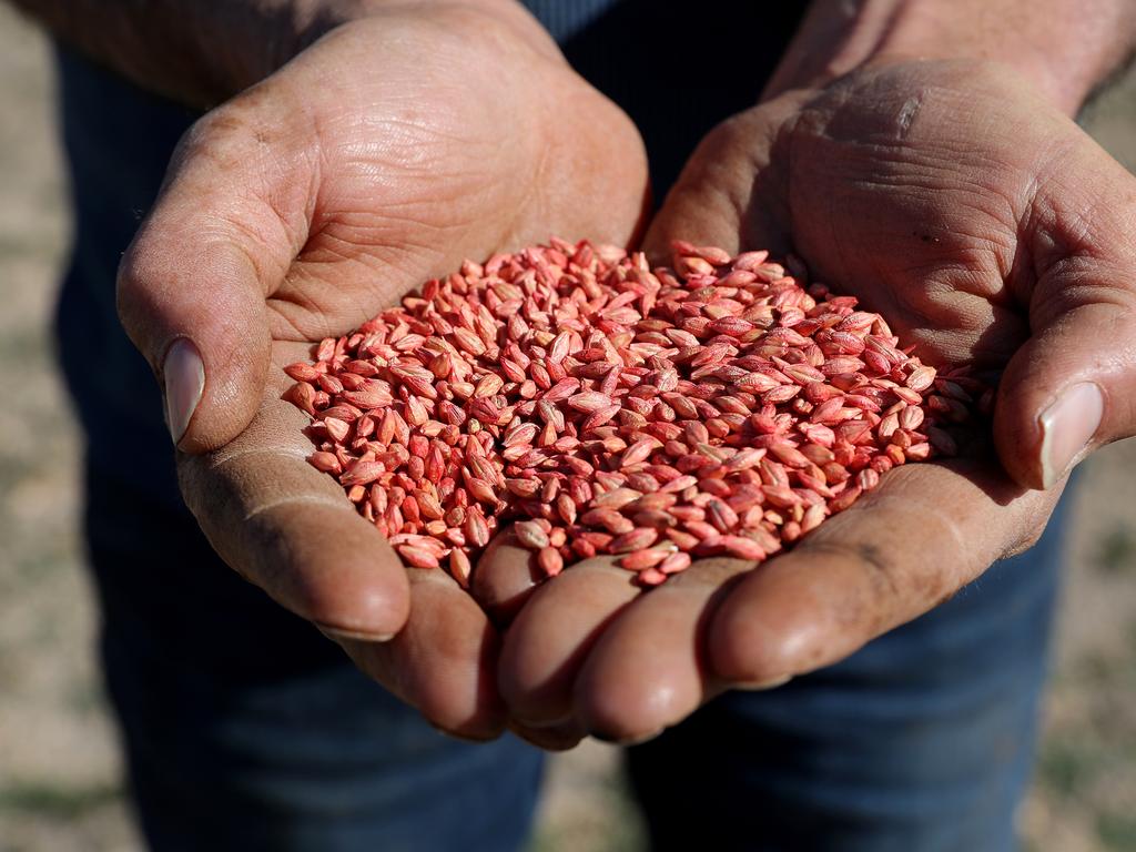 China last year imposed an 80 per cent tariff on barley imports from Australia. Picture: Richard Wainwright/AAP