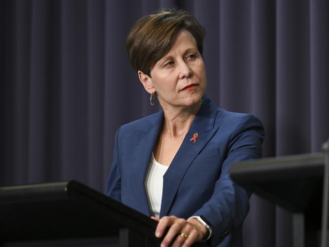 Emergency Management Minister Jenny McAllister. Picture: Martin Ollman