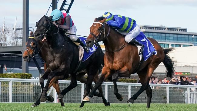 Attrition edged out Antino in the Toorak Handicap last year. Photo: Scott Barbour/Getty Images.