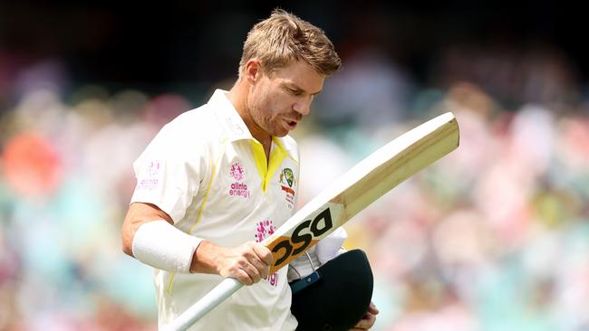 Warner is tantalising with the bat without actually producing much.