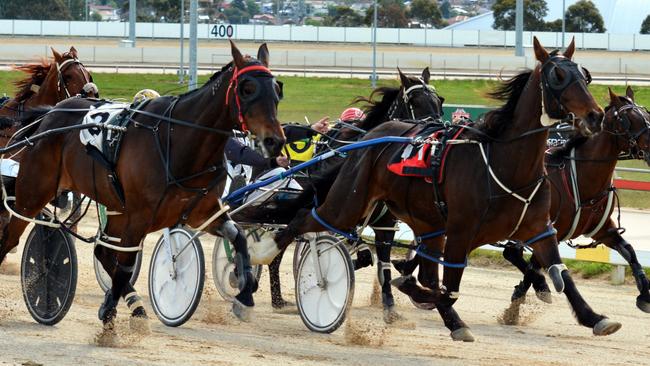 Harness racing in Tasmania. File picture.