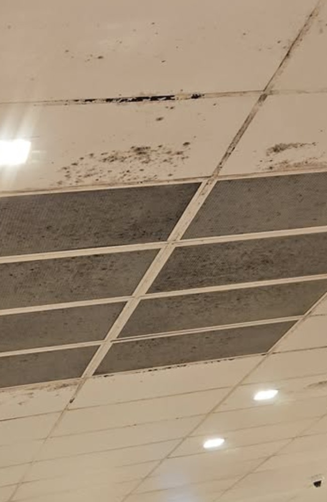 Mould was found on the ceiling above the vegetables. Picture: Supplied