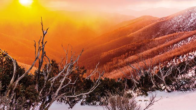 Sunset through fog at Mount Hotham, Victoria. Picture: Jon Bagge