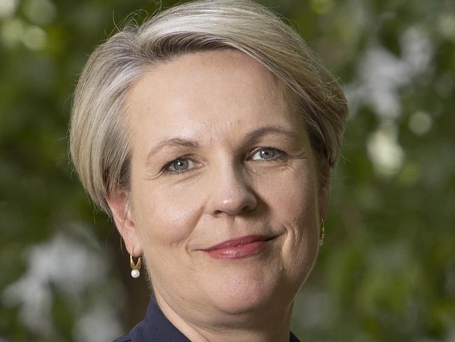 CANBERRA, AUSTRALIA-NCA NewsWire Photos NOVEMBER 11 2020.TANYA PLIBERSEKTanya Plibersek at Parliament House.Tanya Plibersek launched 'The Truth of the Palace Letters' with co-authored by Paul Kelly and Troy Bramston.NCA NewsWire / Gary Ramage