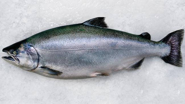 A Mt Cook Alpine salmon.