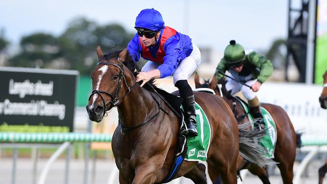 Zaaki winning last year’s Hollindale Stakes. Picture: Grant Peters/Trackside Photography