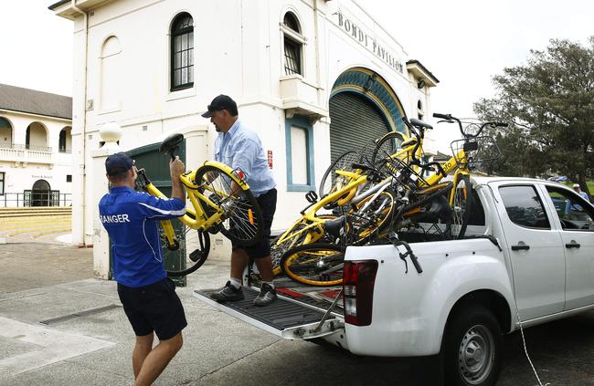 Waverley Council rangers Healy Holt and Carlos Da Rocha in action around the back of Bondi Pavilion. Picture: John Appleyard