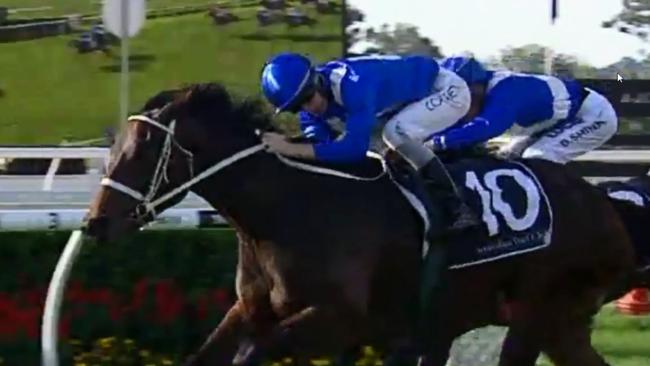 Winx won her debut race over 1100m at Warwick Farm on June 4, 2014. Her little sister Covent Gardens will have her first start at the same venue on Monday.