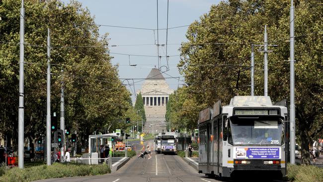 St Kilda Rd’s famous tree-lined boulevard may not be ­returned to its former glory for decades.