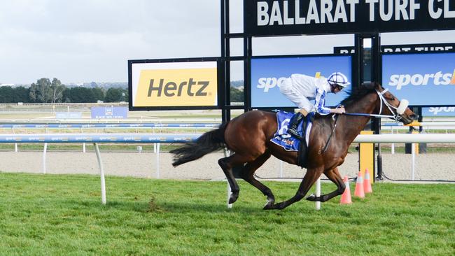 Shepard did it easy. Picture by Ross Holburt/Racing Photos via Getty Images.