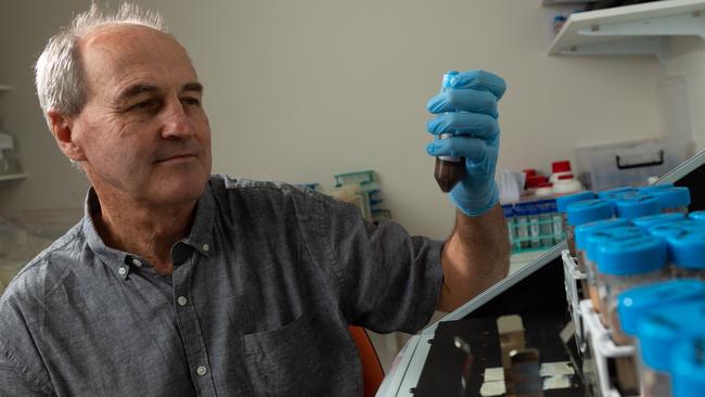 Bart Currie is pictured in the Specimen Preparation Area at the Royal Darwin Hospital – he is an expert on melioidosis. Picture: Che Chorley