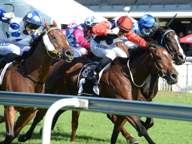 Might need the run: My Little Flicka winning at Doomben. Picture: Grant Peters, Trackside Photography