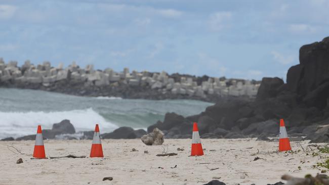 Shelly Beach cordoned off yesterday.