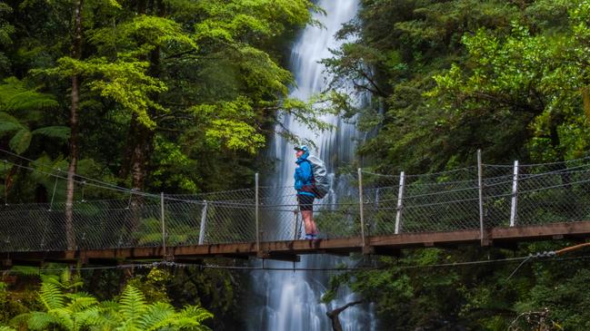 Little Homer Falls, Hollyford Track, South Island, New Zealand.