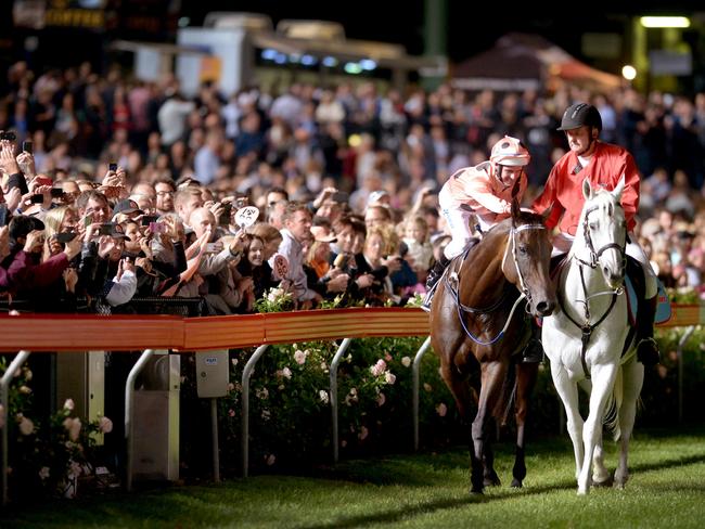 Valley sweetheart: Black Caviar in front of an adoring crowd at Moonee Valley. Picture. Wayne Ludbey