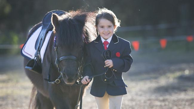 Evie Delicata, 4, and her eight year old pony Fyn, are future stars of the equestrian world, and Evie is this week’s Local Sports Star. Picture: Melvyn Knipe