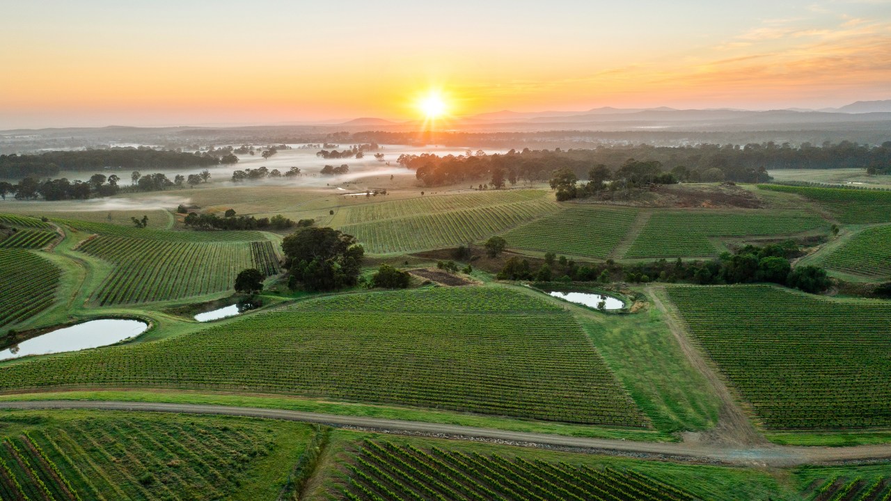 hunter valley wine tour for 2