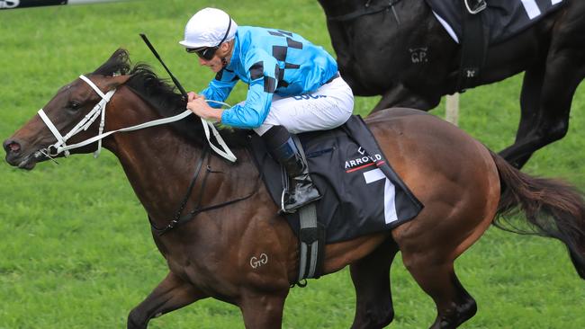 Global Quest has been scratched from the Golden Slipper. Picture: Getty Images