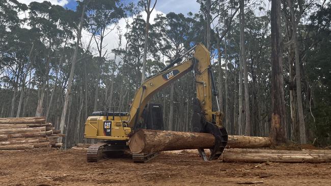 Big trees: Jim Greenwood’s team stacks windblown logs, after local Dja Dja Wurrung traditional owners checked the site.