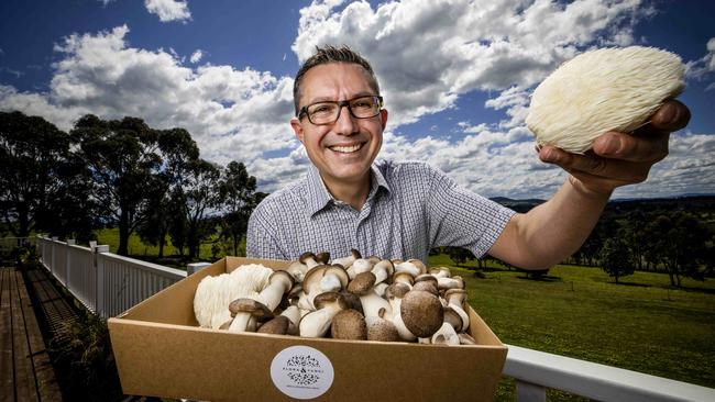 Bien Lema with a fresh batch of his mushrooms. Picture: Nicole Cleary