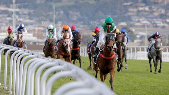 Savs Finale finishes well ahead of the pack at Elwick Racecourse with Copperhead Road coming in second. Picture: PATRICK GEE