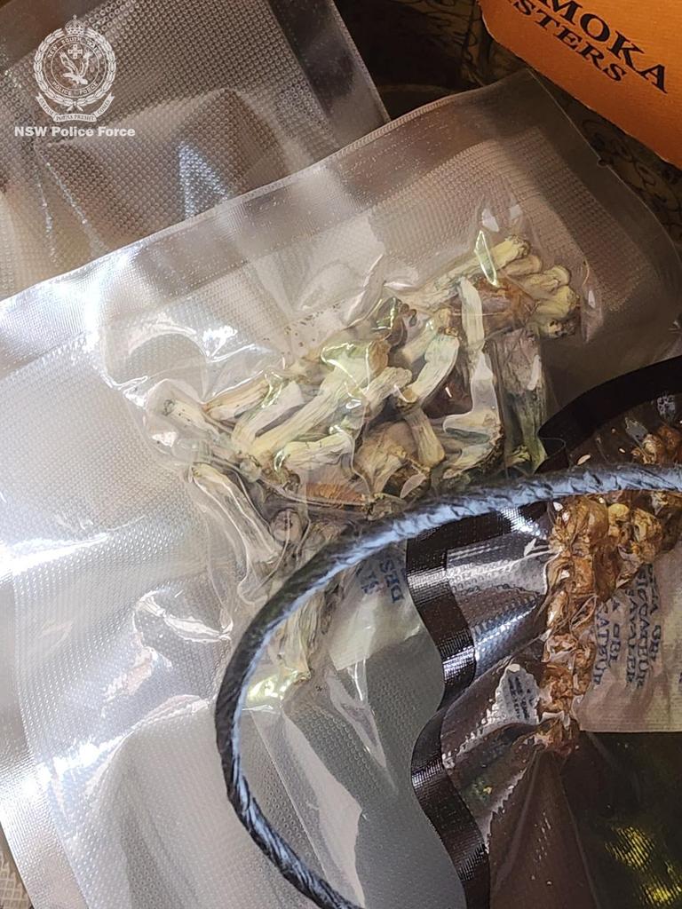 About 100 sealed bags of dried mushrooms were also seized across Sydney. Picture: NSW Police