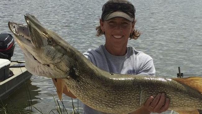 This Aug. 2015 photo provided by the Nevada Department of Wildlife shows state fisheries biologist Kim Tisdale holding one of the Northern pike removed from Comins Lake in eastern Nevada during an effort to eradicate the invasive predators. The agency is offering a $10,000 reward to help nab the suspect who apparently introduced the species into the lake again in recent months. (Courtesy of the Nevada Department of Wildlife via AP)