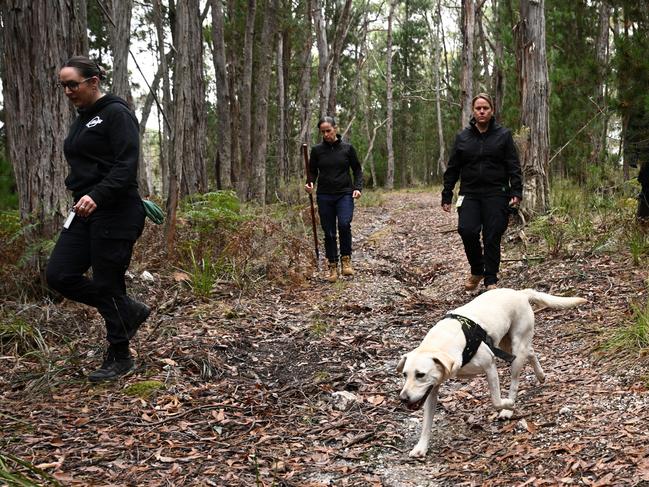 Police use a cadaver dog during the search for the body of missing woman Samantha Murphy in near Enfield State Park in Ballarat. Picture: Joel Carrett