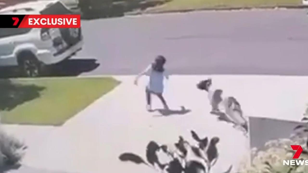 A seven-year-old girl was attacked by a dog in Sydney's south. Picture: 7 News