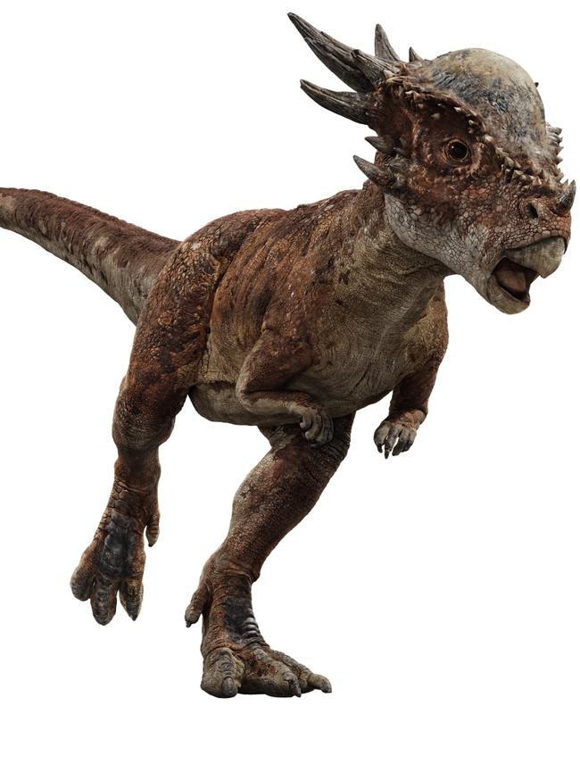 The new dino on the block in Fallen Kingdom is the headbutting-happy Stygimoloch. Picture: Universal Pictures