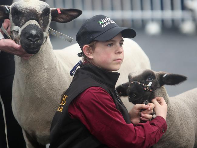 Harrison Daley from Tyabb, originally from Manchester, England in the Flinders Show Team. Picture: Yuri Kouzmin