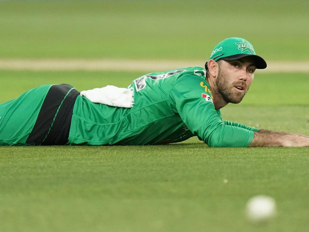 A ball getting through the field or a much needed nap for Maxwell – you decide.