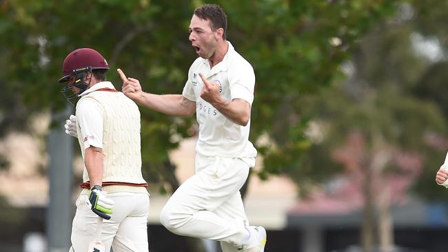 Brody Couch celebrates a wicket for Geelong.