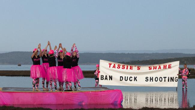 Moulting Lagoon has become Swan Lake with protesters donning tutus to oppose the duck hunting season.The Animals Tasmania protesters took to an improvised stage on the lagoon for an impromptu performance of the Tchaikovsky classic, renaming it Duck Lake.