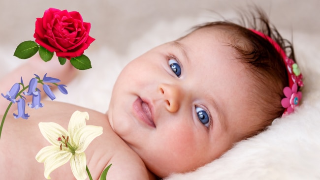 images of cute babies with flowers