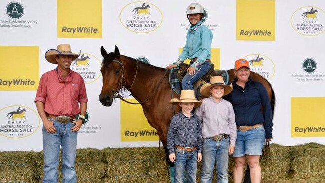 The top priced Gelding (Lot 133) at Ray White Equine Dalby Stock Horse Sale. Picture: Ray White Dalby