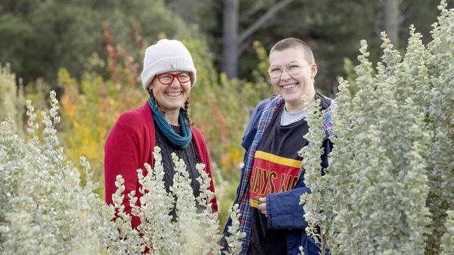 NEWS: Harcourt Organic Farming Co OpPICTURED: Harcourt Organic Farming Co Op operator Katie Finley with Ira Barker from Murnong Mummas in the bush foods plot next to the 'old man' saltbush.Picture: Zoe Phillips