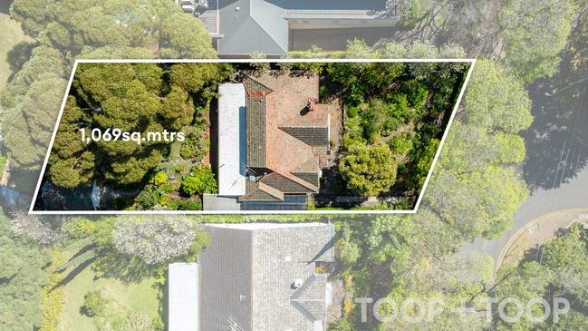 The current block layout across 1069 sqm site. Picture: Toop+Toop