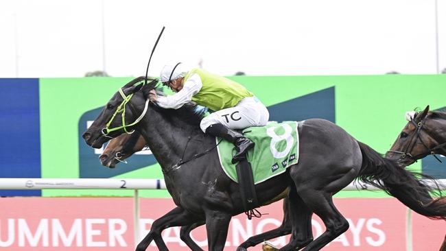 Cambar wins the TAB Highway at Rosehill Gardens on November 30, 2024. Picture: Bradley Photos