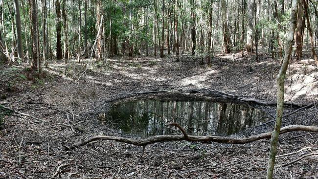 Police searched the area south of Benaroon Drive, Kendall, including a small dam behind 31 Benaroon Drive. Source: NSW Police