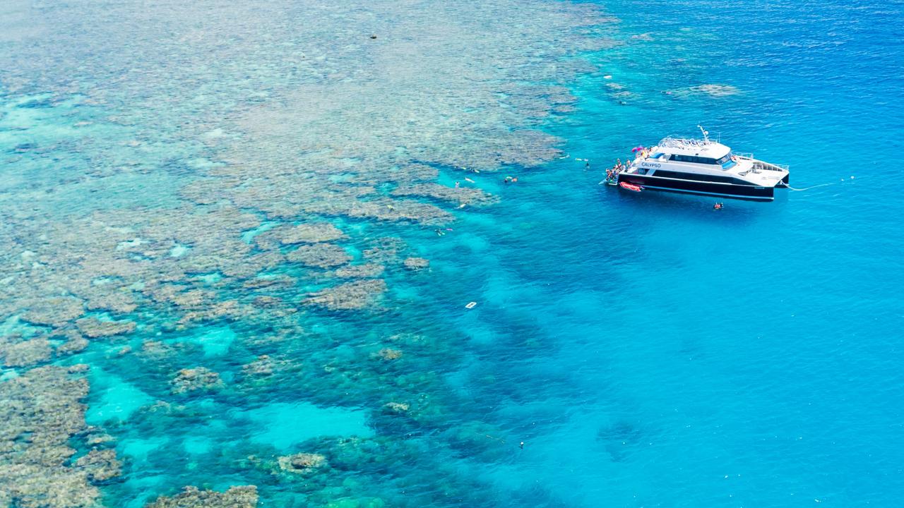 Tourism operators have been warned to ‘prepare for change’ in the Great Barrier Reef