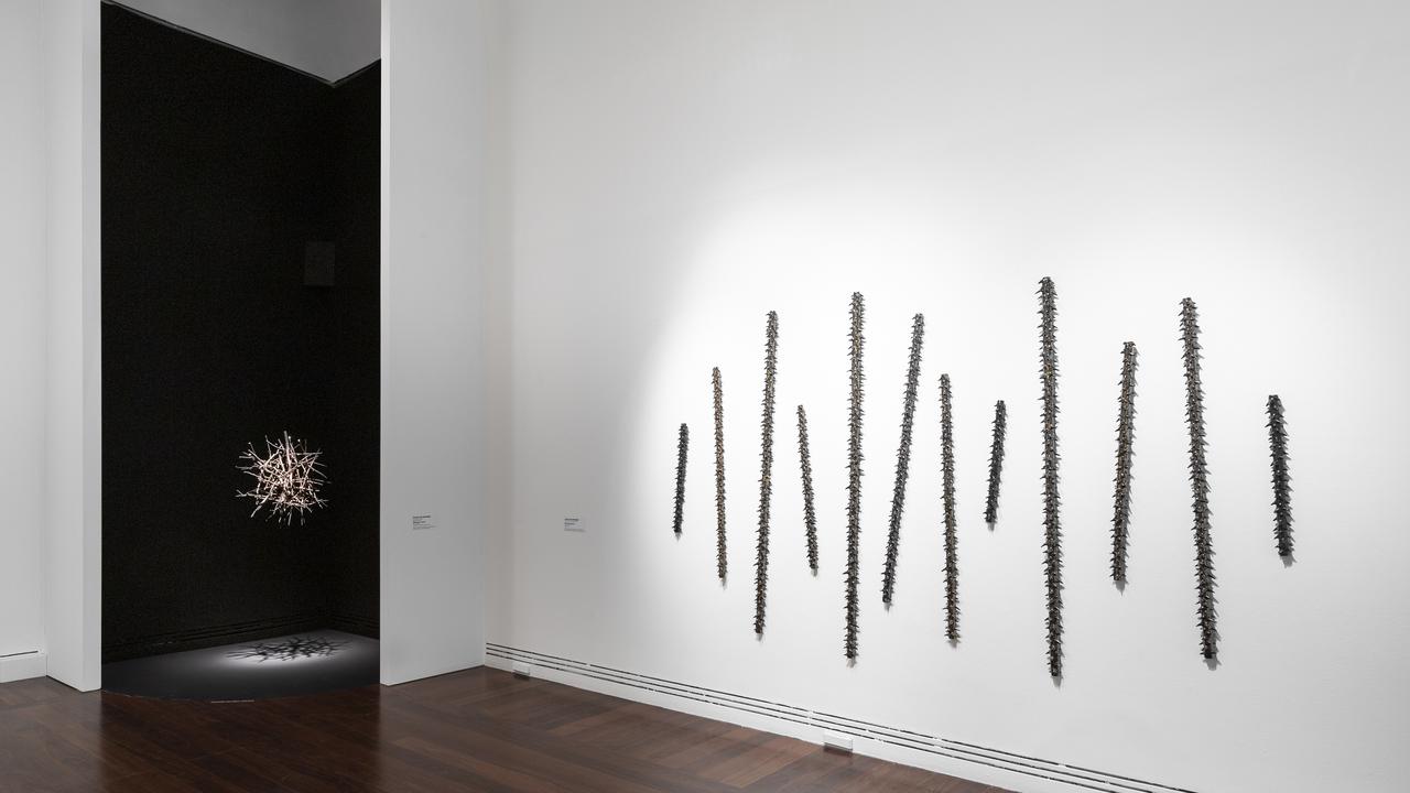 Installation view: 2022 Adelaide Biennial of Australian Art: Free/State, featuring What goes around by Hossein Valamanesh and Morticia’s garden 1 by Angela Valamanesh, Art Gallery of South Australia, Adelaide, photo: Saul Steed