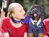 Virgin to let cats and dogs fly in planes