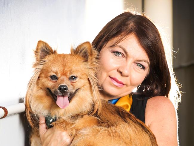 SUNDAY MAIL: Kylie Weldon with her one-year-old Pomeranian dog - Battery - who was attacked by a young couple trying to steal him on September 13 last year.Picture: NIGEL HALLETT