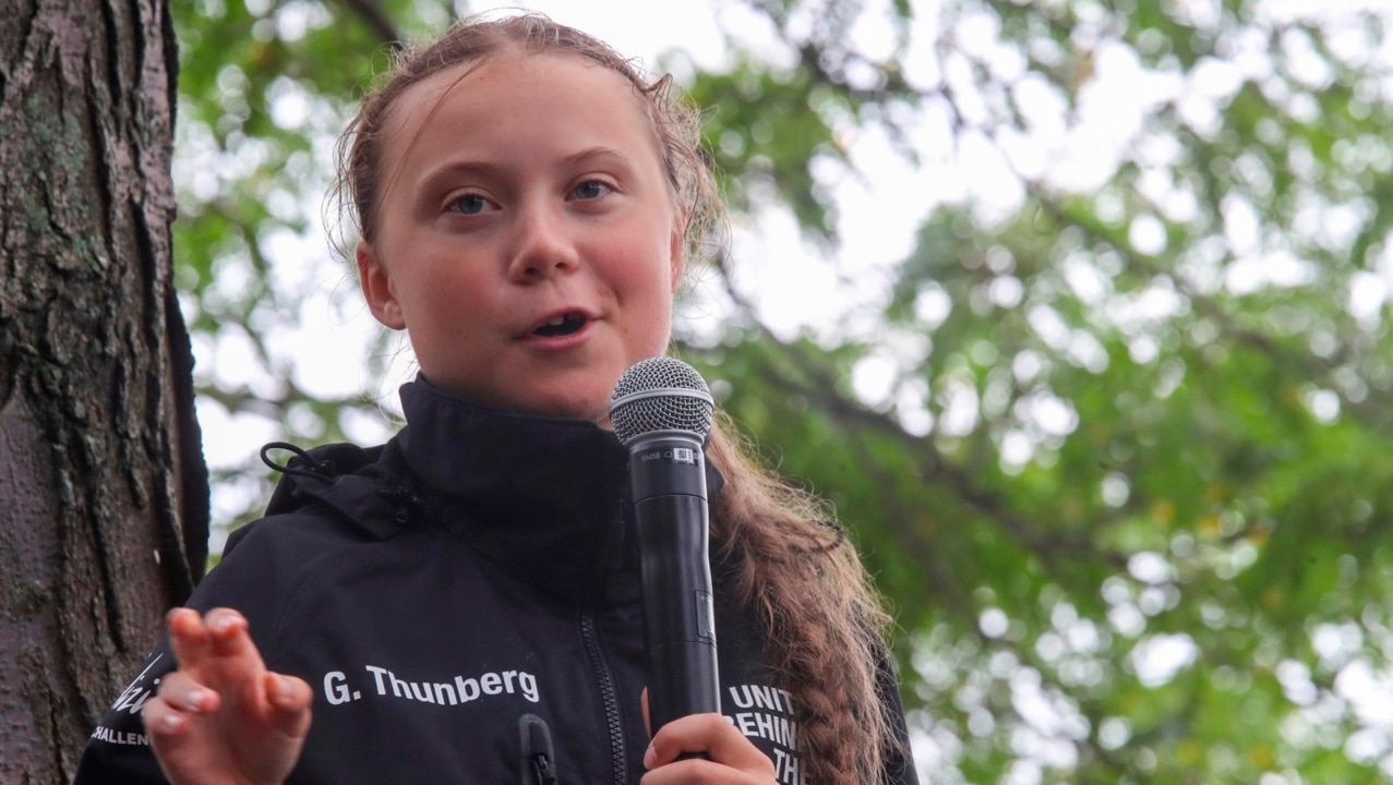 Greta Thunberg's parents should be 'held accountable'