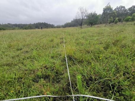 Part of that site could become environmental lands linking Chapman’s Hill and Porters Creek. Picture: supplied