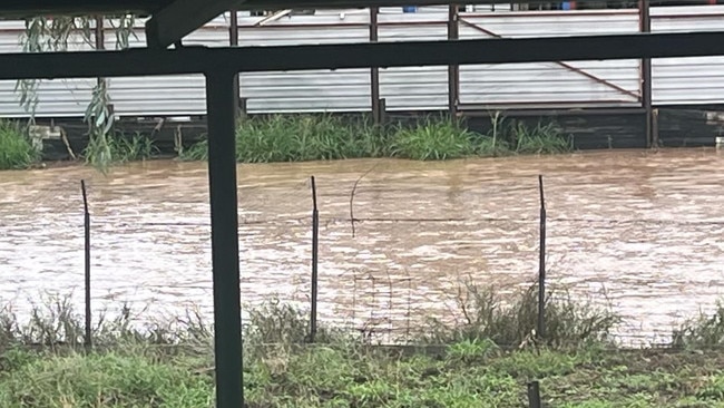 Flooding in Charleville. Pic: Brian McLean