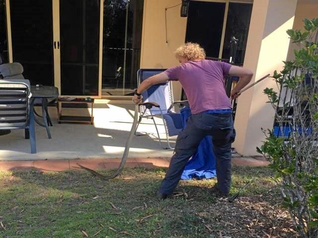 DEADLY CATCH: This eastern brown snake was caught in a Banksia Beach garden recently by Beachmere snake catcher Harrison. Picture: Charles McAnoy